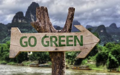 Cuatro negocios eco friendly que la están rompiendo